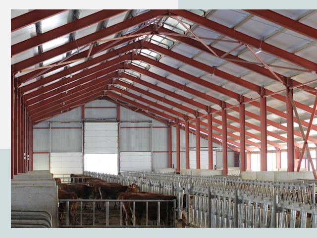 Строительство коровников в Мончегорске