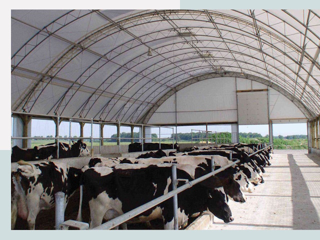 Тентовые коровники в Мончегорске